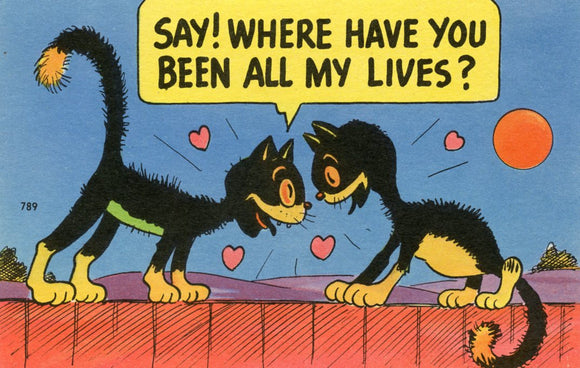 Say! Where have You Been all My Lives? - Carey's Emporium