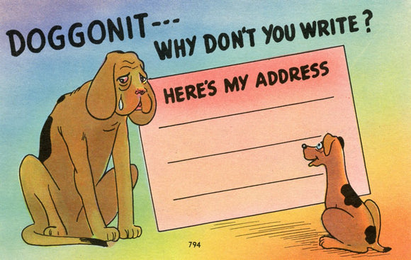 Doggonit, Why Don't You Write? Here's my Address - Carey's Emporium