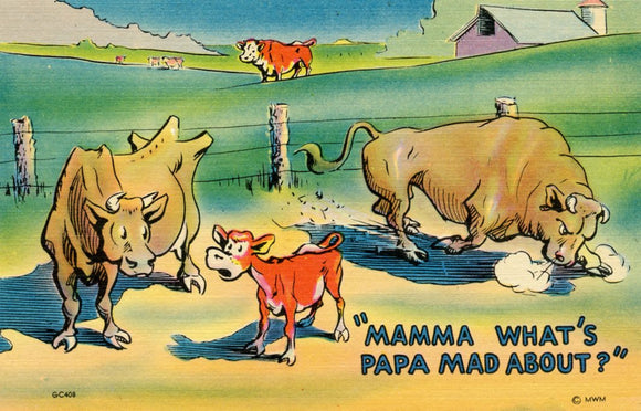 Mamma What's Papa Mad About? - Carey's Emporium