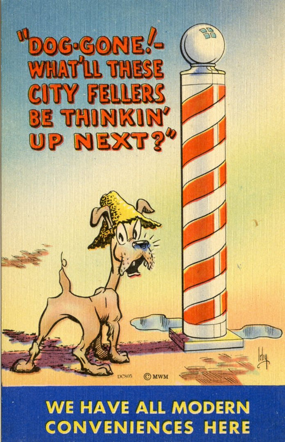 Dog-Gone! What'll These City Fellers Be Thinkin' up Next? - Carey's Emporium