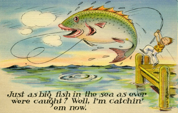 Just as Big Fish in the Sea as Ever Were Caught? Well, I'm Catchin' 'em Now - Carey's Emporium