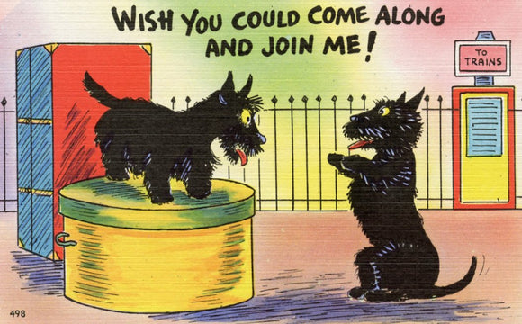 Wish You Could Come Along and Join Me! - Carey's Emporium