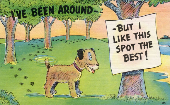 I've Been Around, But I Like This Spot the Best! - Carey's Emporium