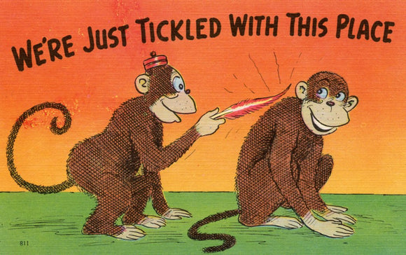 We're Just Tickled with This Place - Carey's Emporium