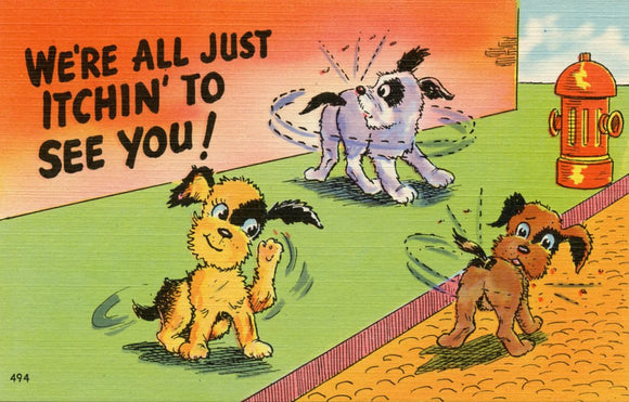 We're All Just Itchin' to See You! - Carey's Emporium