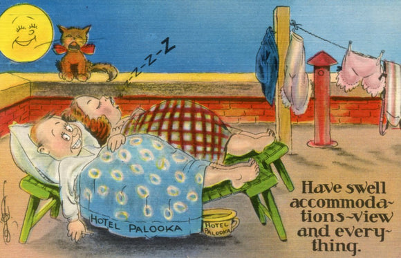 Have Swell Accommodations, View and Everything - Carey's Emporium