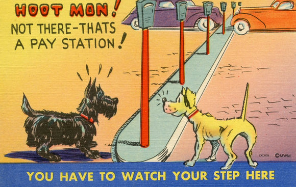 Hoot Mon! Not There, Thats a Pay Station! - Carey's Emporium