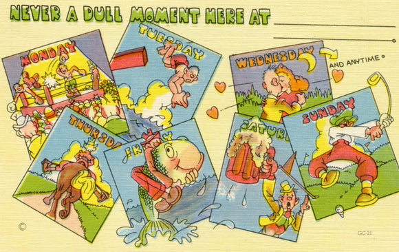 Never a Dull Moment Here at ___ - Carey's Emporium