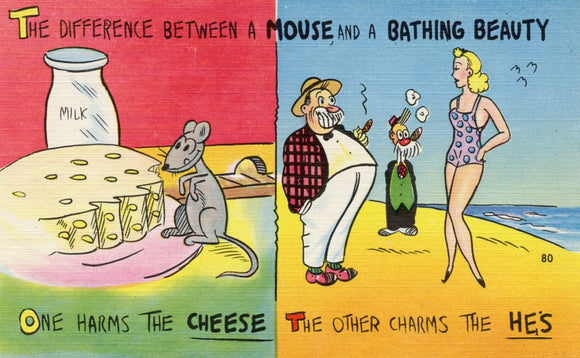 The Difference Between a Mouse and a Bathing Beauty - Carey's Emporium