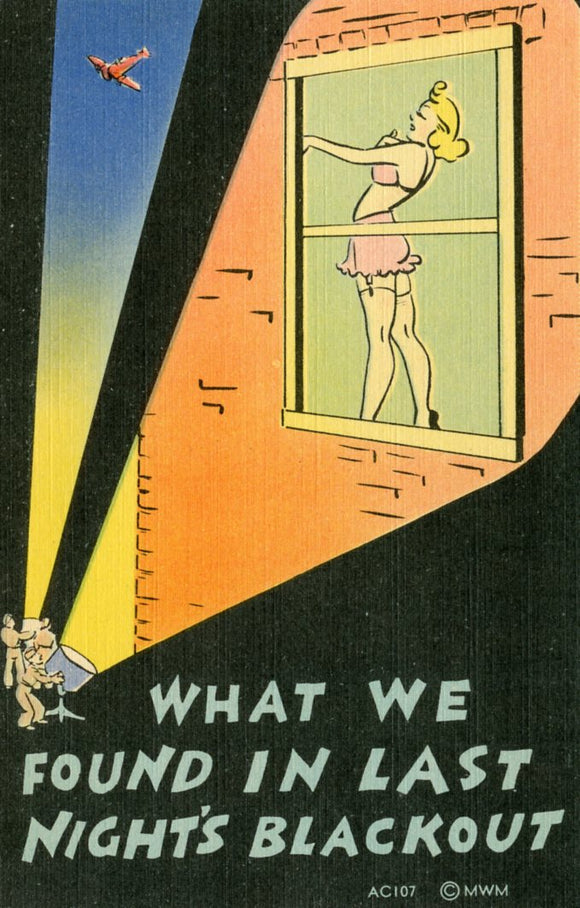 What We Found in Last Night's Blackout - Carey's Emporium