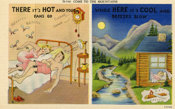 There It's Hot and Your Fans Go, While Here it's Cool and Breezes Blow - Carey's Emporium