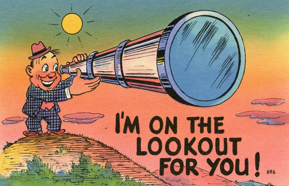 I'm on the Lookout for You! - Carey's Emporium