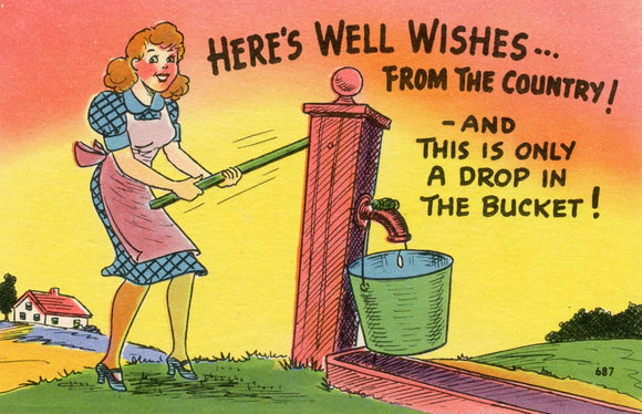 Here's Well Wishes, from the Country! And This is Only a Drip in the Bucket! - Carey's Emporium