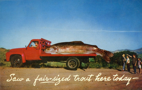 Saw a Fair-Sized Trout Here Today - Carey's Emporium