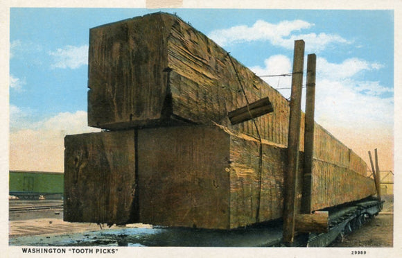 Washington Tooth Picks - Carey's Emporium