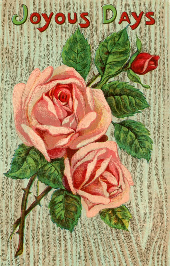 Joyous Days - Carey's Emporium