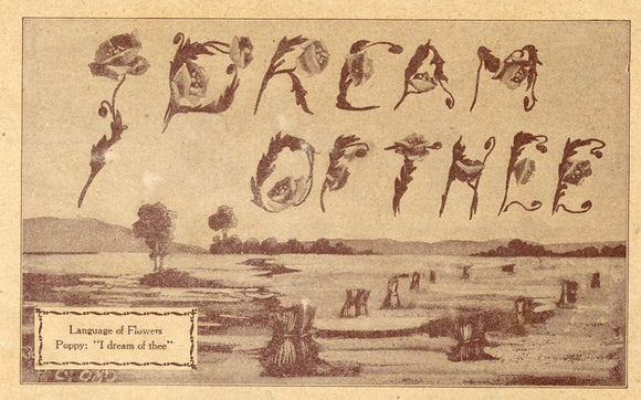 I Dream of Thee - Carey's Emporium