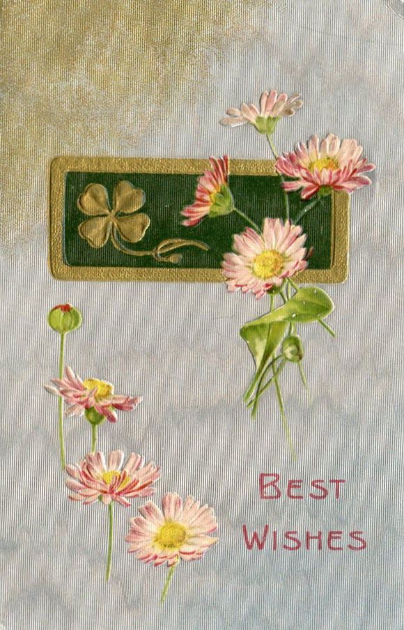 Best Wishes - Carey's Emporium