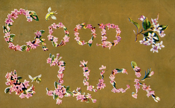 Good Luck - Carey's Emporium