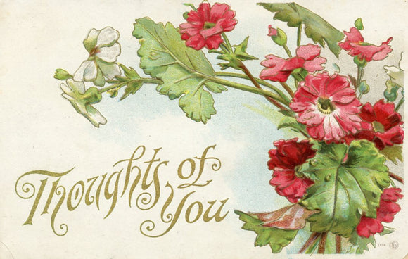 Thoughts of You - Carey's Emporium