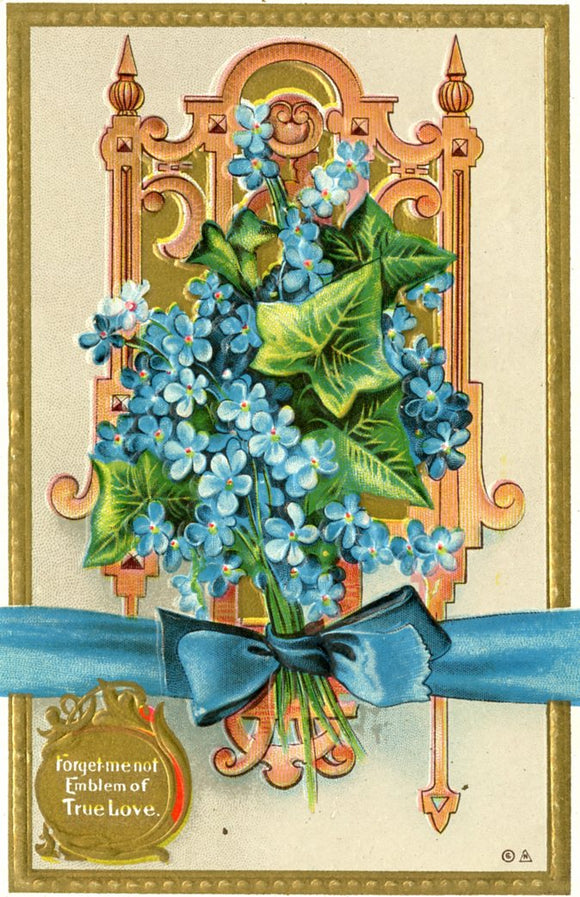 Forget-me-not, Emblem of True Love - Carey's Emporium