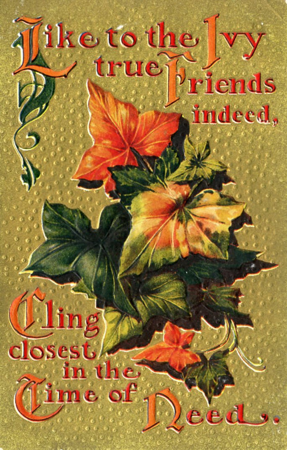 Like to the Ivy true Friends indeed, Cling closest in the Time of Need - Carey's Emporium