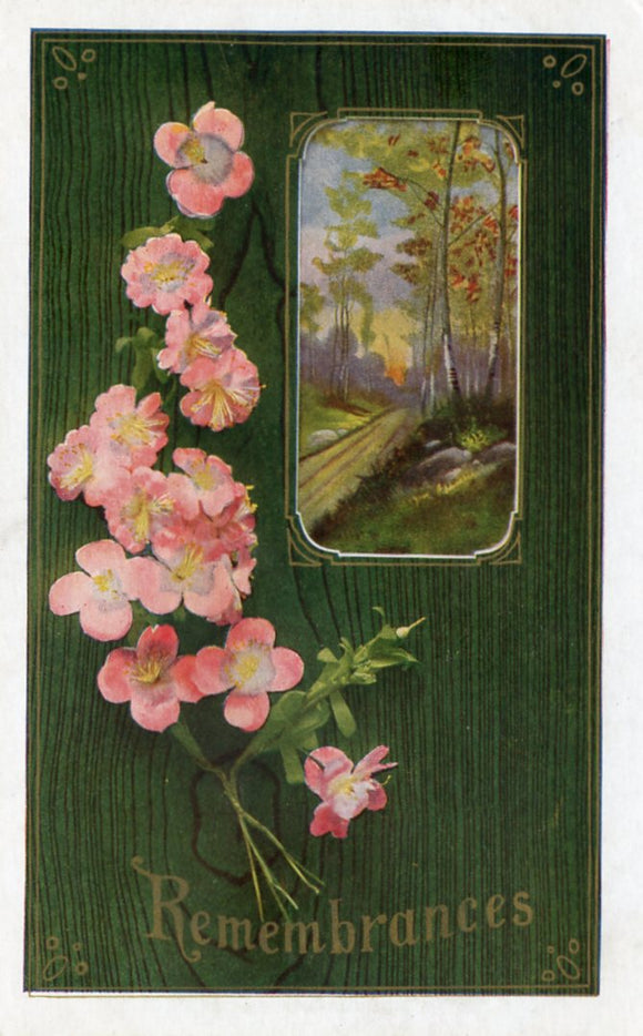 Remembrances - Carey's Emporium