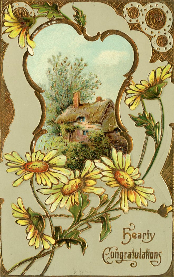 Hearty Congratulations - Carey's Emporium