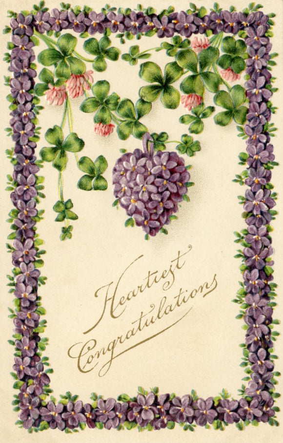 Heartiest Congratulations - Carey's Emporium