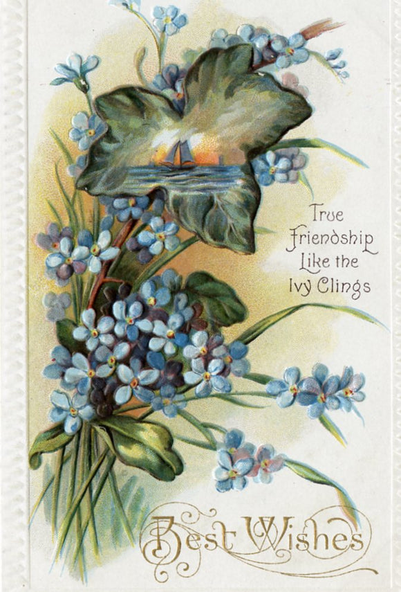 Best Wishes, True Friendship Like the Ivy Clings - Carey's Emporium