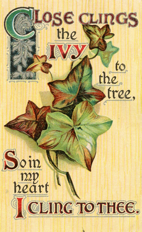 Close Clings the Ivy to the Tree, So in My Heart I Cling to Thee - Carey's Emporium