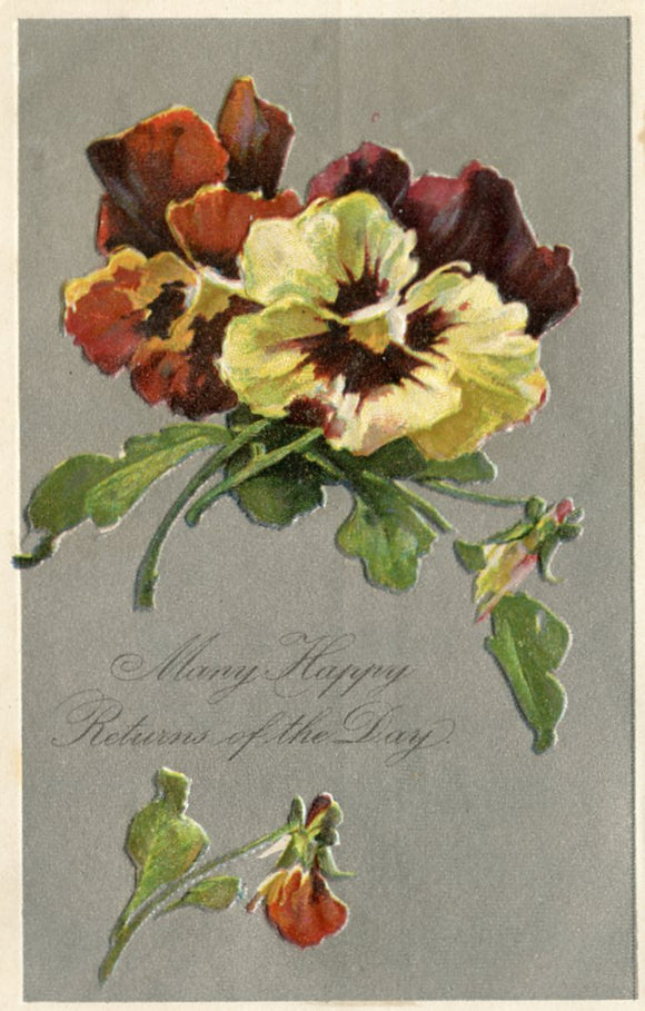 Many Happy Returns of the Day - Carey's Emporium