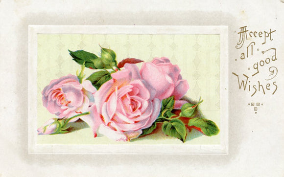 Accept all good Wishes - Carey's Emporium