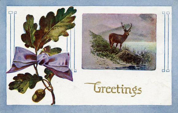 Greetings - Carey's Emporium