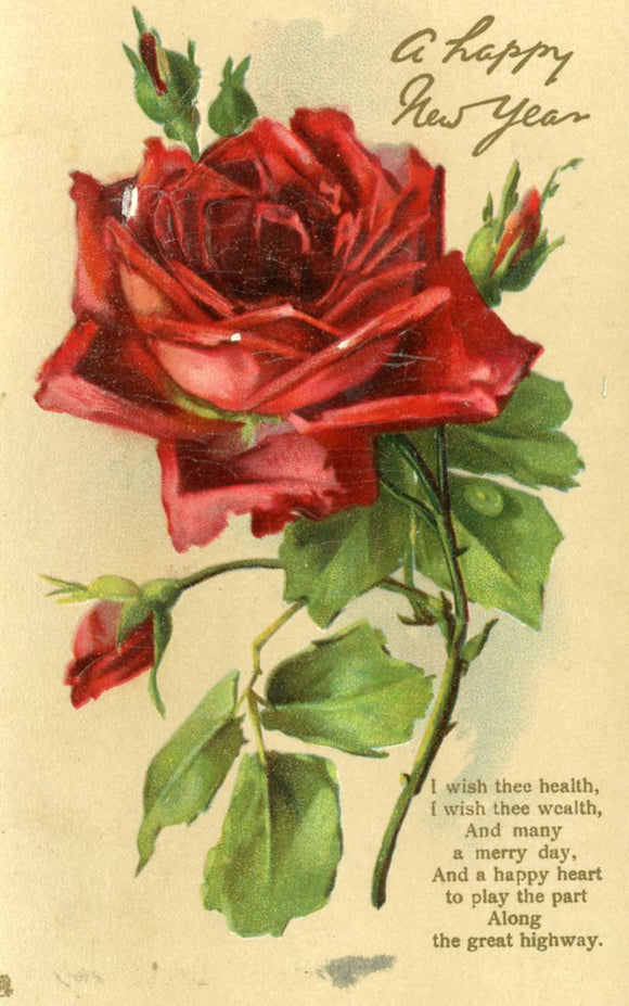 A Happy New Year - Carey's Emporium