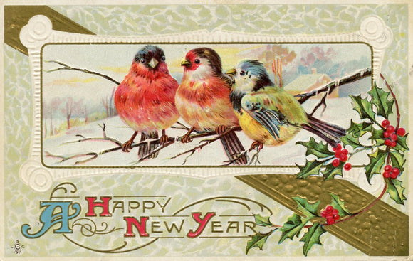 A Happy New Year - Carey's Emporium