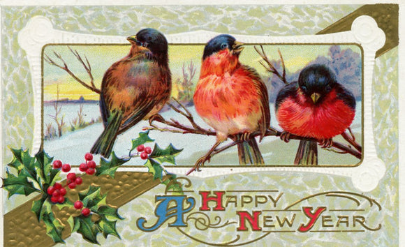 A Happy New Year-Carey's Emporium