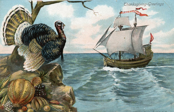 Thanksgiving Greetings-Carey's Emporium