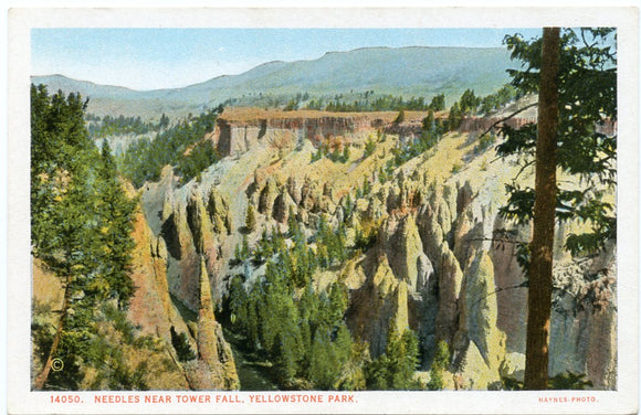 Needles Near Tower Fall, Yellowstone Park-Carey's Emporium