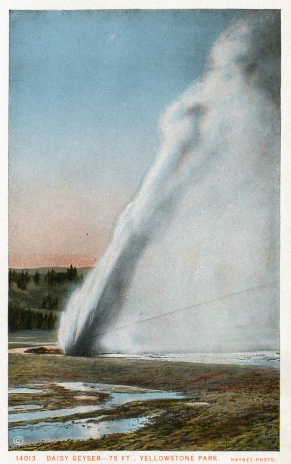 Daisy Geyser, 75 ft., Yellowstone Park-Carey's Emporium