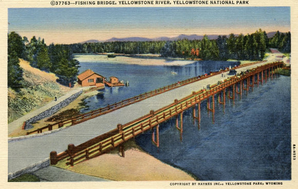 Fishing Bridge, Yellowstone River, Yellowstone National Park-Carey's Emporium