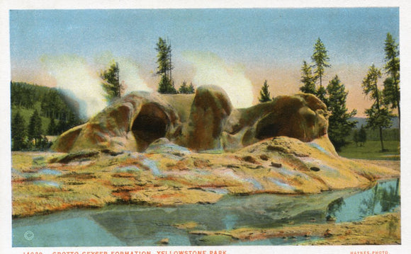 Grotto Geyser Formation, Yellowstone Park-Carey's Emporium