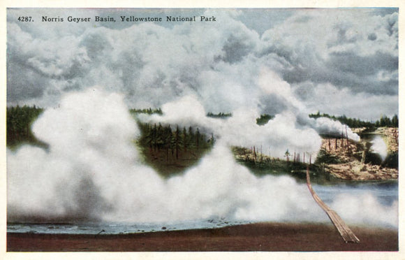 Norris Geyser Basin, Yellowstone National Park-Careys Emporium