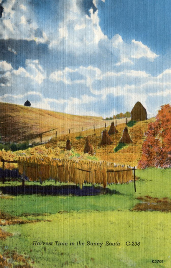 Harvest Time in the Sunny South-Careys Emporium