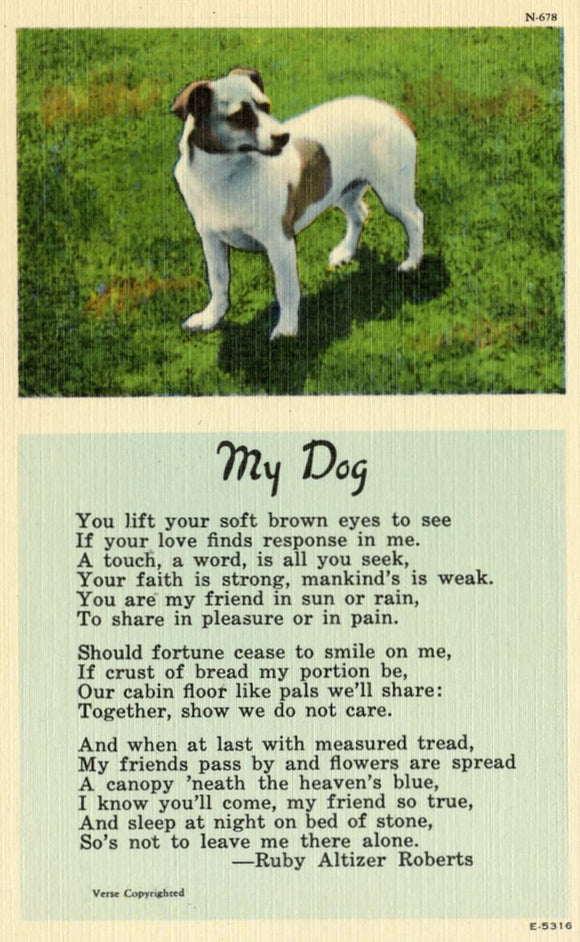 My Dog-Careys Emporium