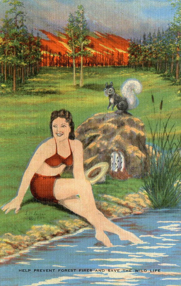 Help Prevent Forest Fires and Save the Wild Life-Careys Emporium