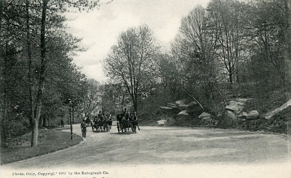 Drive, Central Park, N. Y. City, NY-Careys Emporium