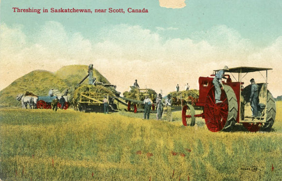 Threshing in Saskatchewan, near Scott, Canada-Careys Emporium