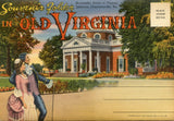 In Old Virginia Souvenir Folder-Carey's Emporium