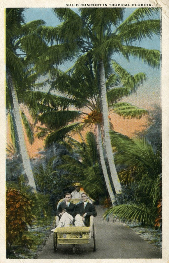 Solid Comfort in Tropical Florida-Carey's Emporium